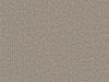 Tapijt Springfield beige