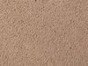 Tapijt Desso Asteranne nude