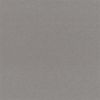 Vinyl Beluga beton lichtgrijs
