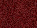 Deurmat Coral Brush cardinal red