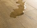 Quick-step impressive ultra | IMU8257