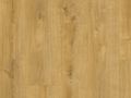 PVC Moduleo Roots | Galway oak 87250