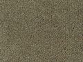Tapijt Colour King taupe