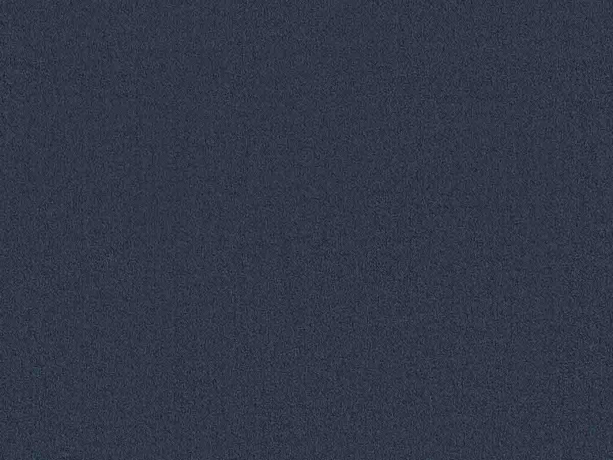 Tapijt Aberdeen | Blauw