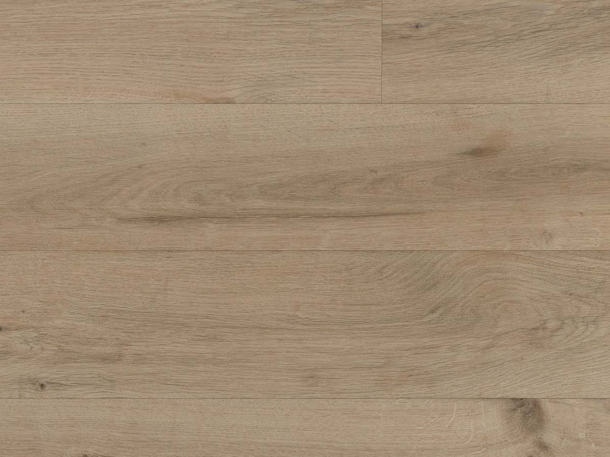 Vinyl Campagne | 5250