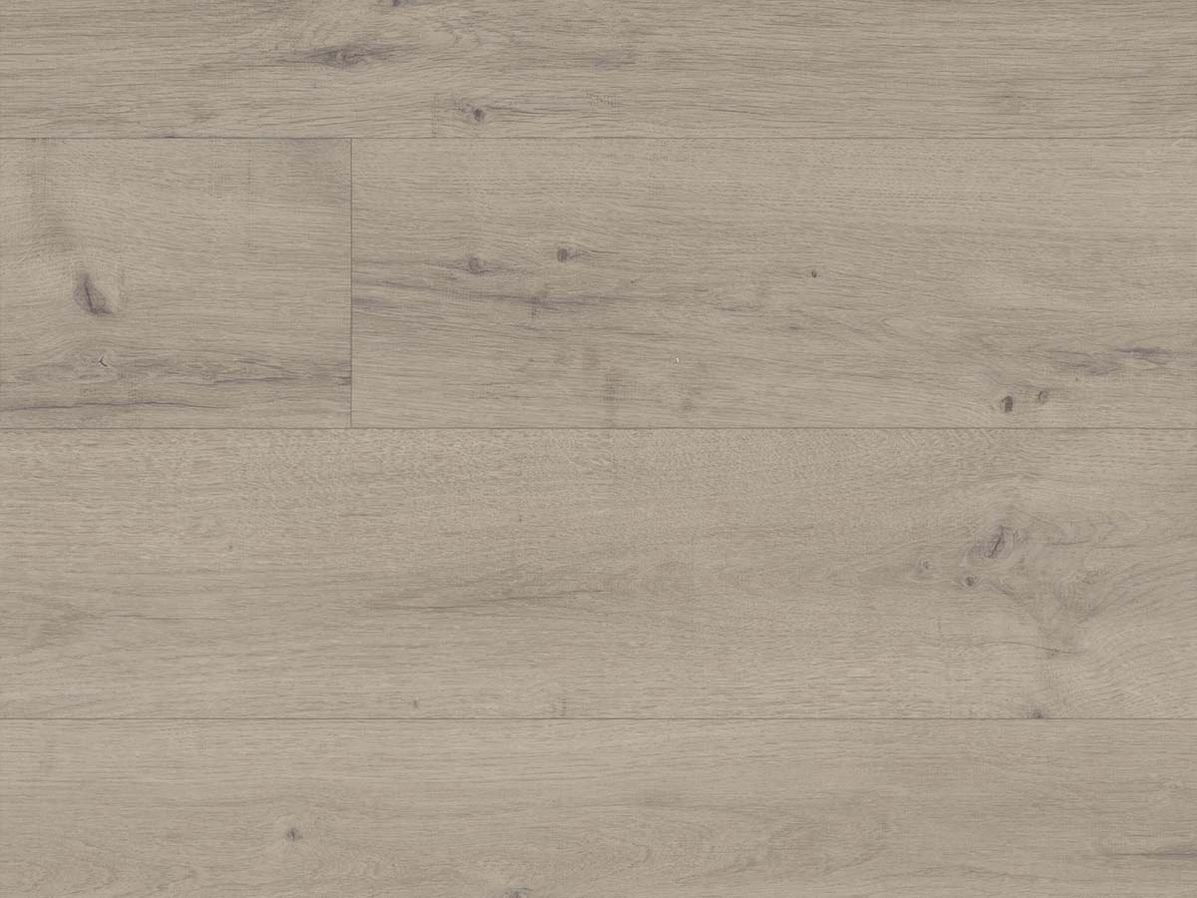 Vinyl Campagne | 5252