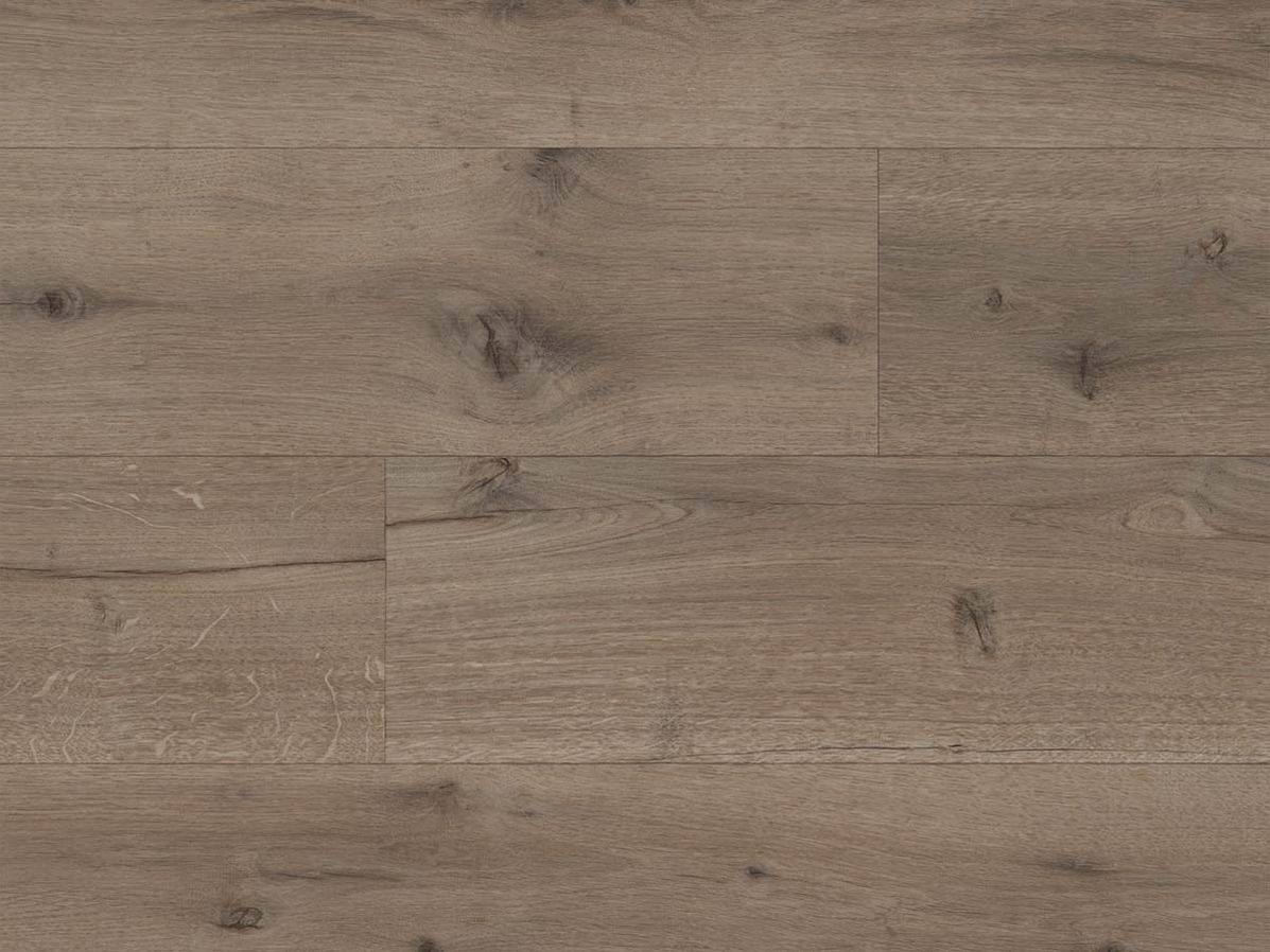 Vinyl Campagne | 5253