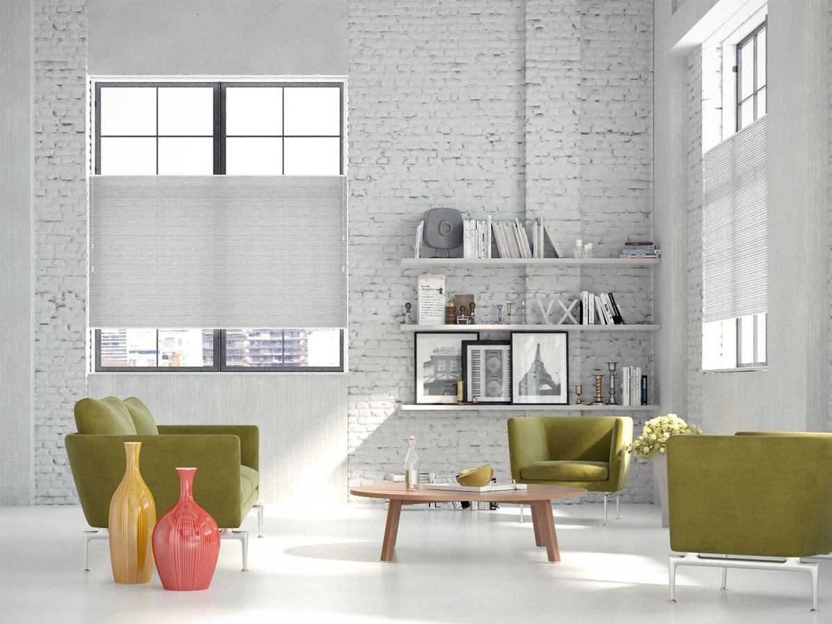 Dupligordijn bece | A52503