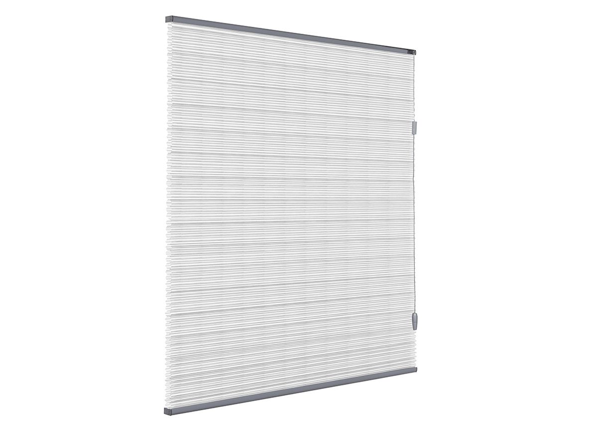 Dupligordijn bece | A52503