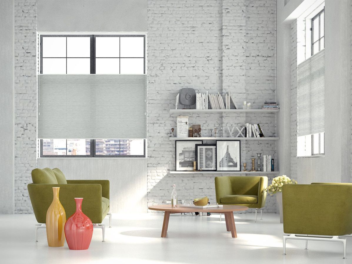 Dupligordijn bece | B52505