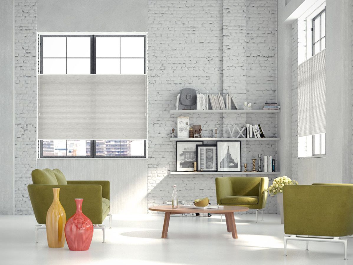 Dupligordijn bece | E52519