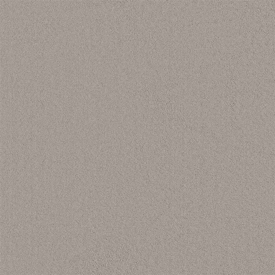 Tapijt Darwin | Beige