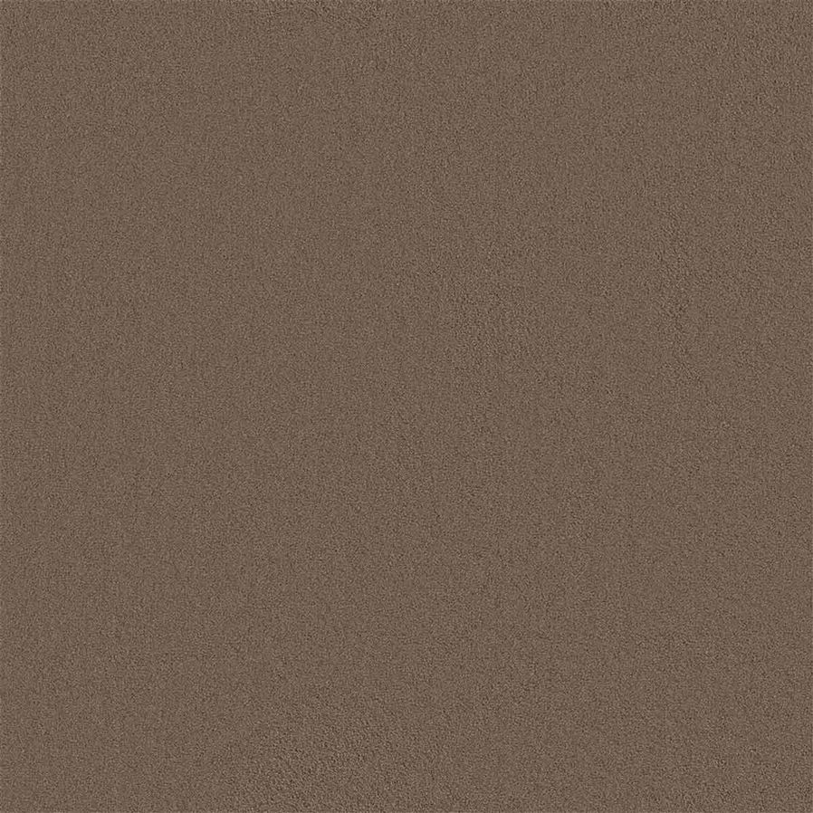 Tapijt Darwin | Bruin