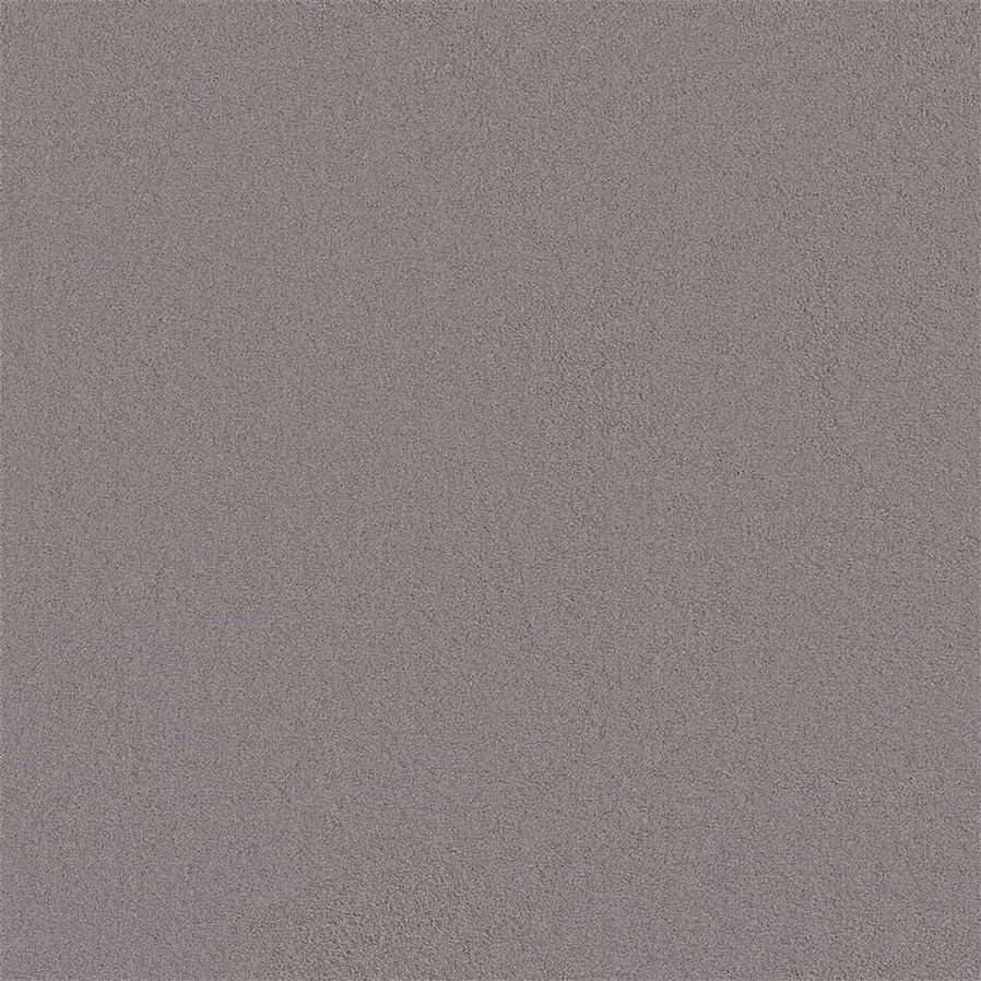 Tapijt Darwin | Grijs