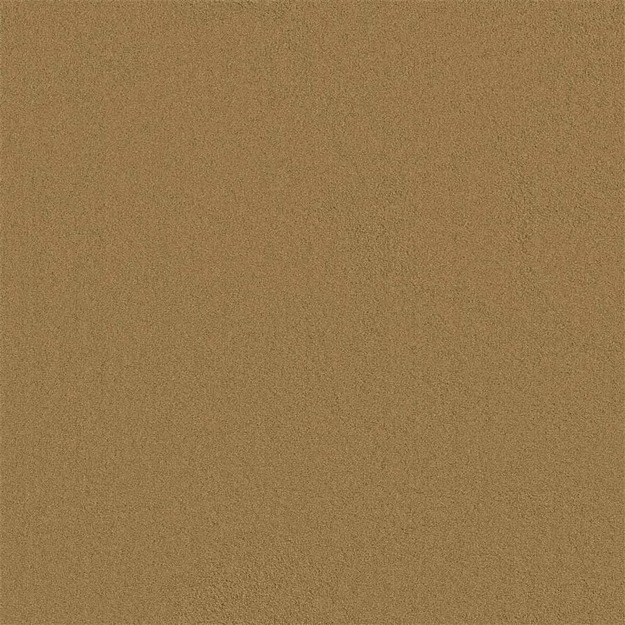 Tapijt Darwin | Oker