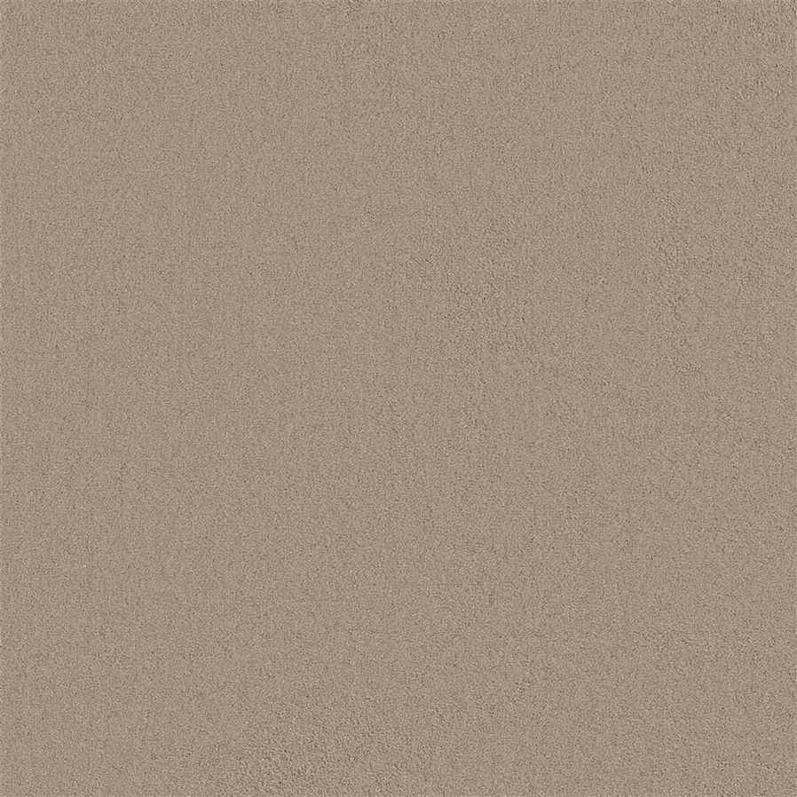 Tapijt Darwin | Zand