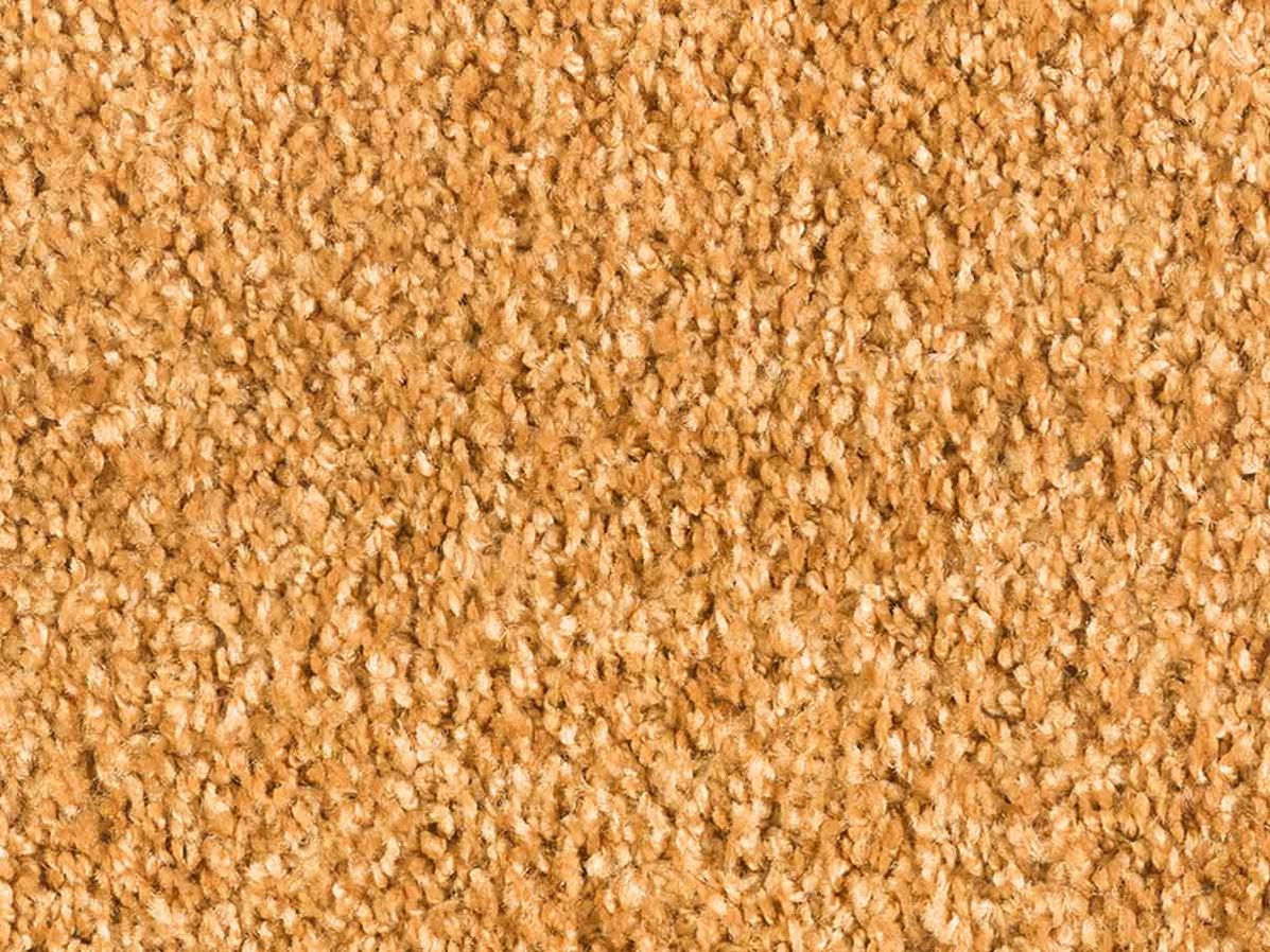 Tapijt Entrada Silky 2038