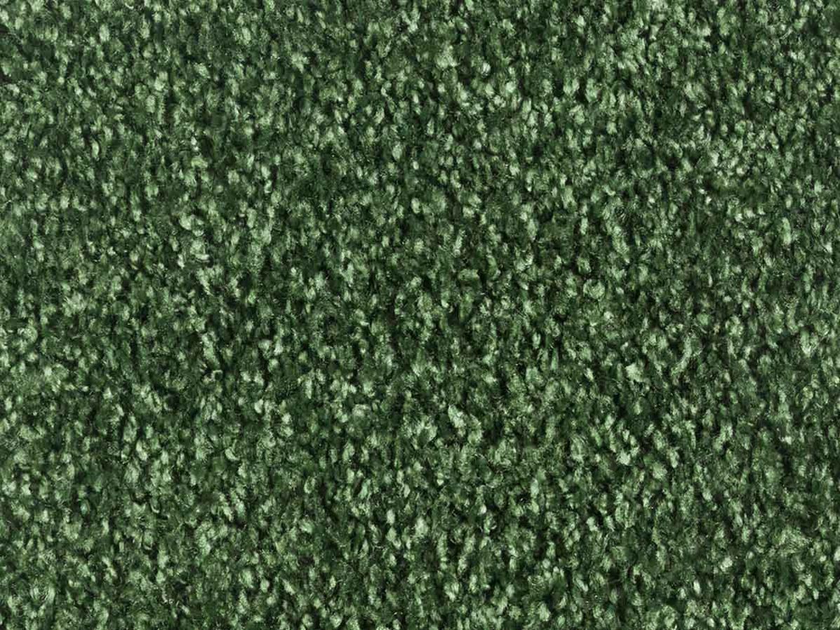 Tapijt Entrada Silky 7841