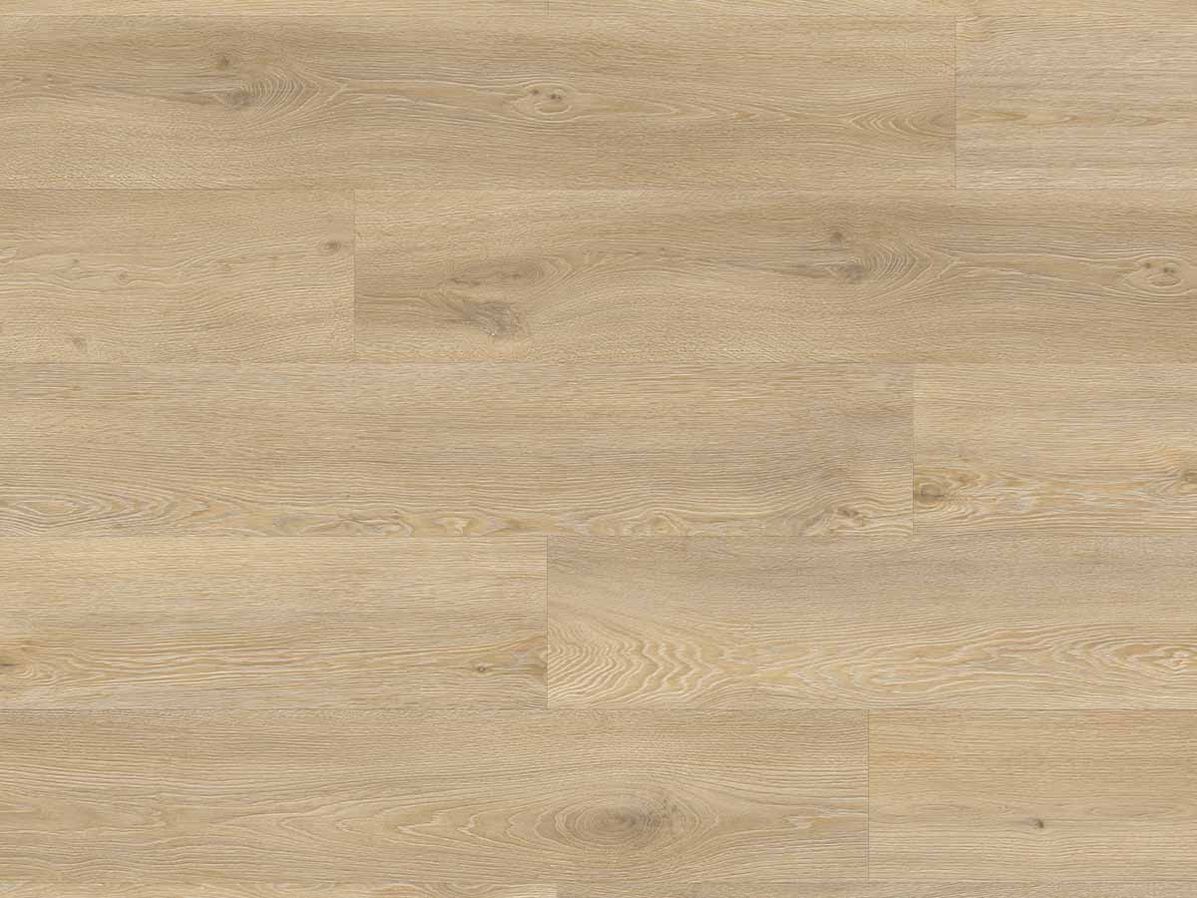 PVC vloer Moduleo Roots 0.55 EIR XL galtymore oak
