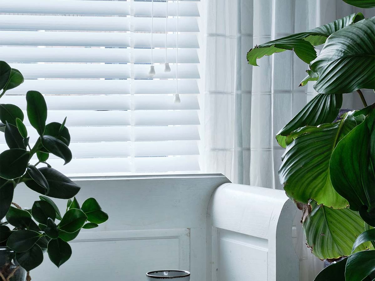 Houten jaloezie bece | 16305 White Bamboo