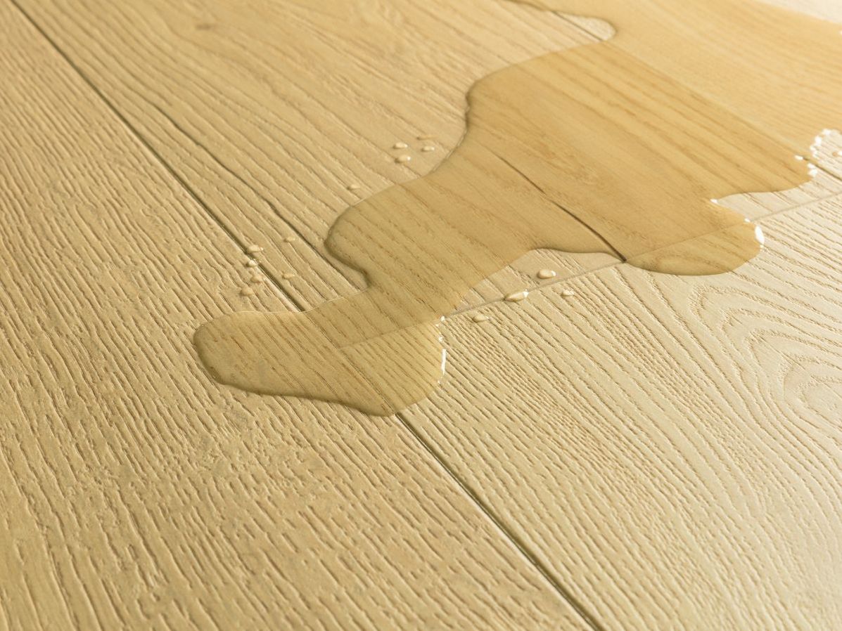 Quick-step impressive ultra | IMU8255