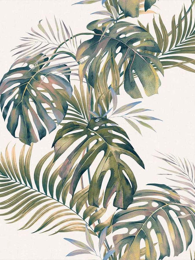 Gordijn Monstera green leaf dim out