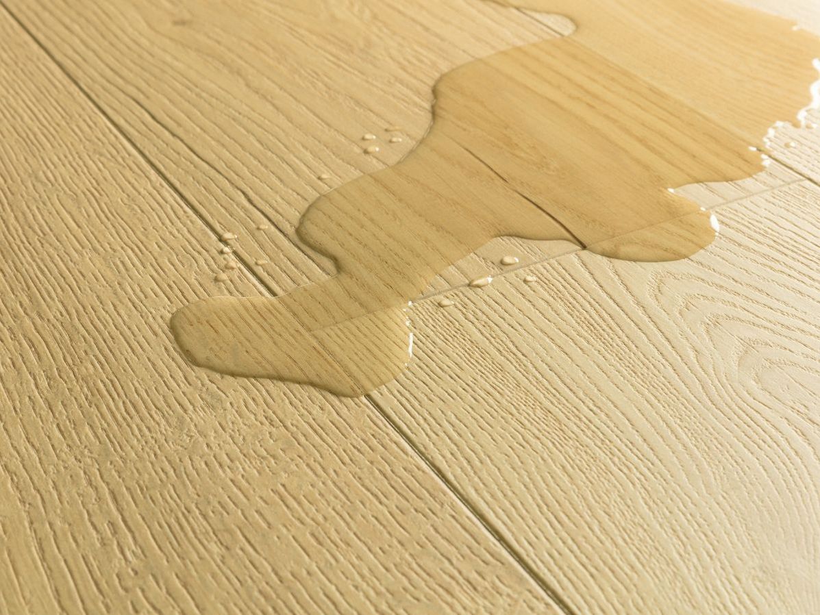 Quick-step impressive | lM8255