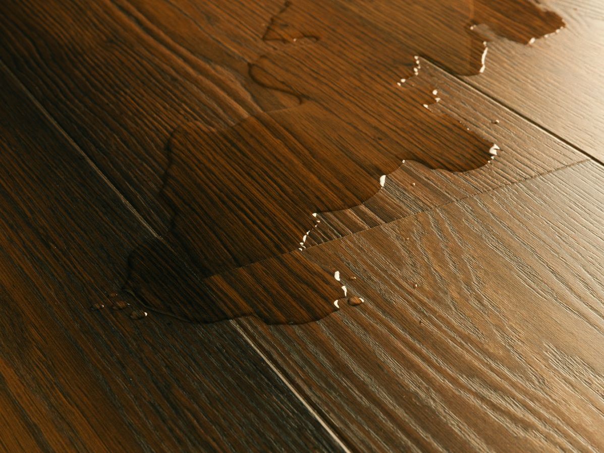 Quick-step impressive | IM8261