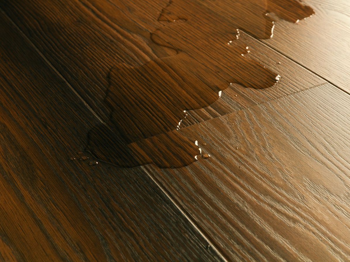 Quick-step impressive ultra | IMU8261