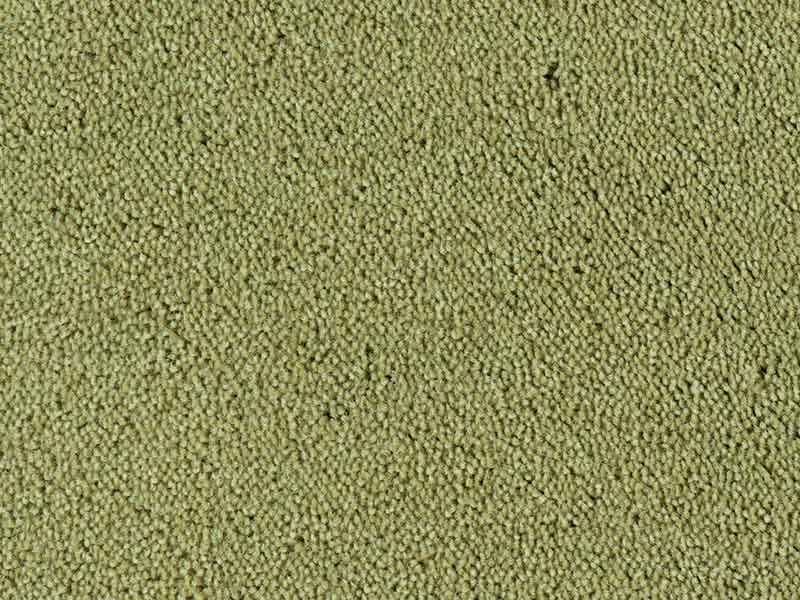 Tapijt Colour King toendra