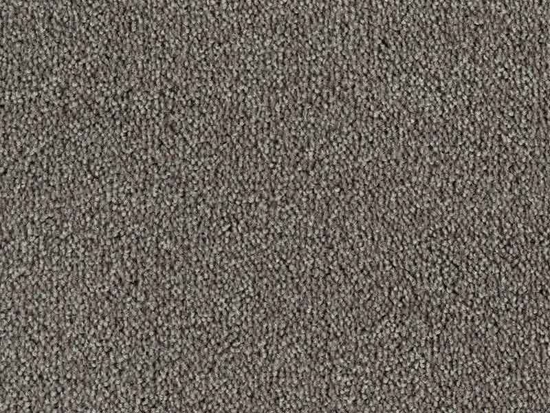 Tapijt Colour King lila