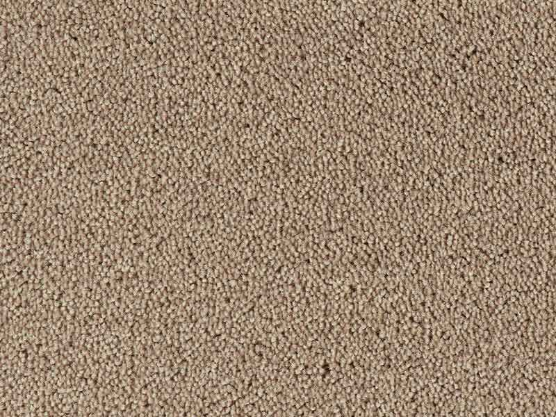 Tapijt Colour King orchidee