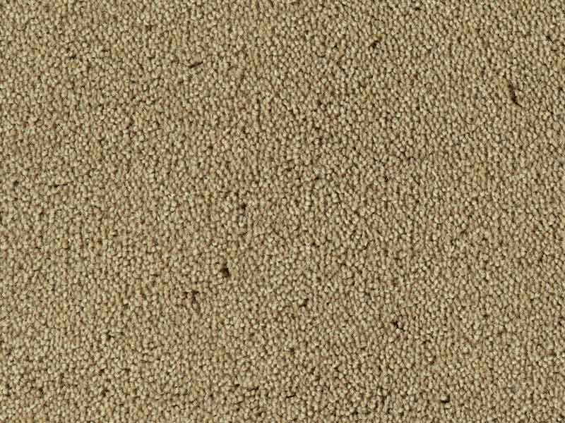 Tapijt Colour King patrijs