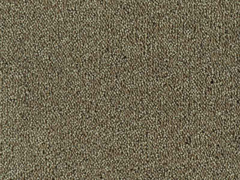 Tapijt Colour King taupe