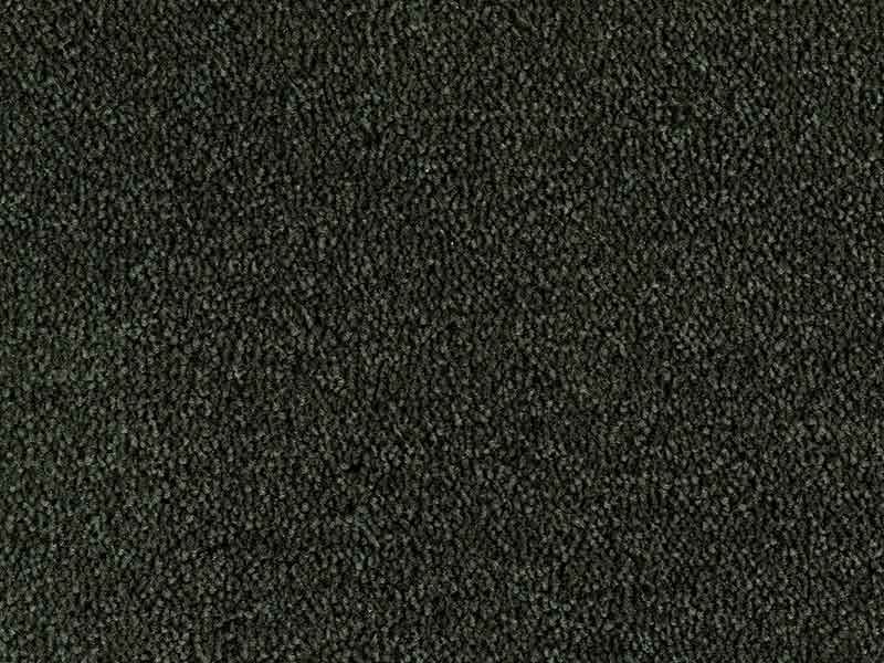 Tapijt Colour King bakeliet