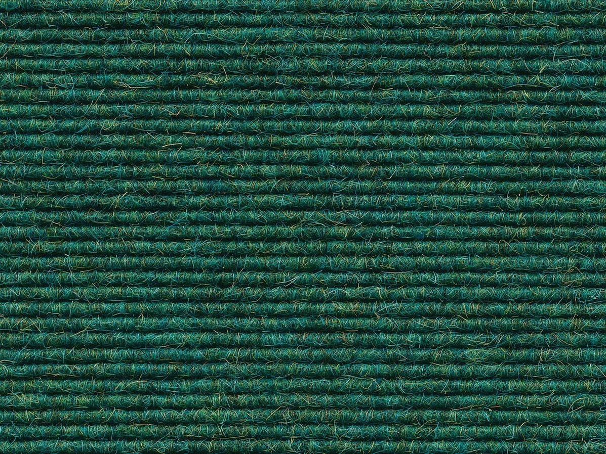 Tapijttegel Interland | Zeewier