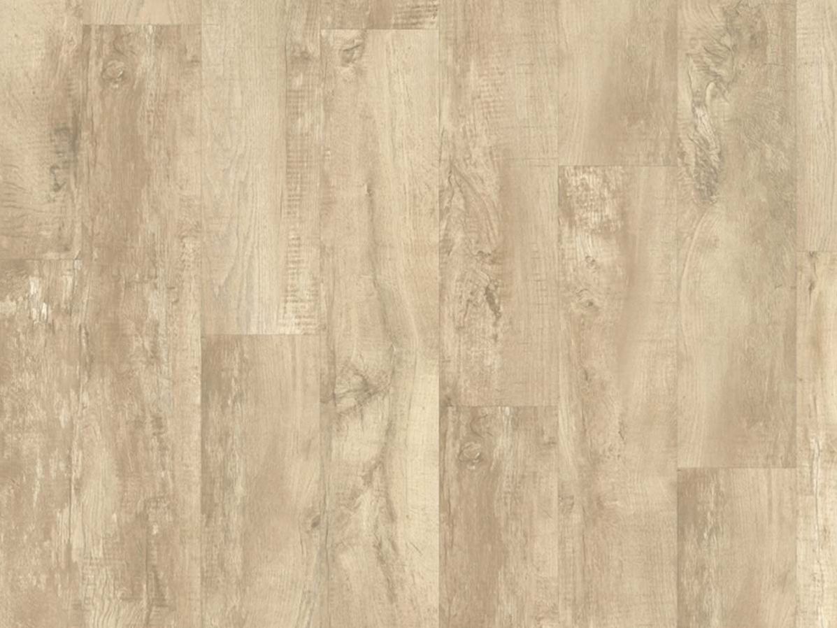 PVC vloer Moduleo Roots 0.55 EIR country oak
