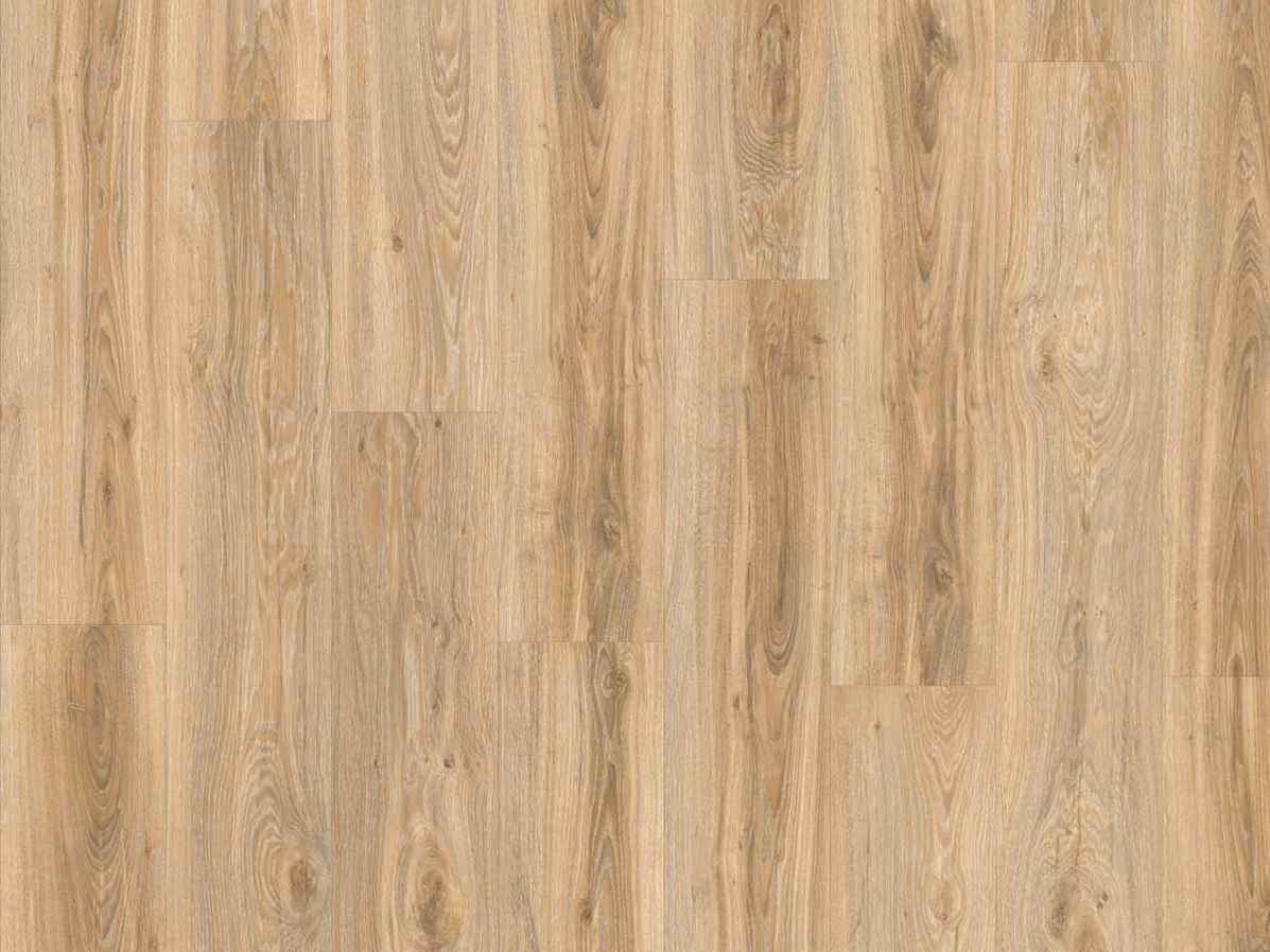 PVC vloer Moduleo Roots 0.55 blackjack oak