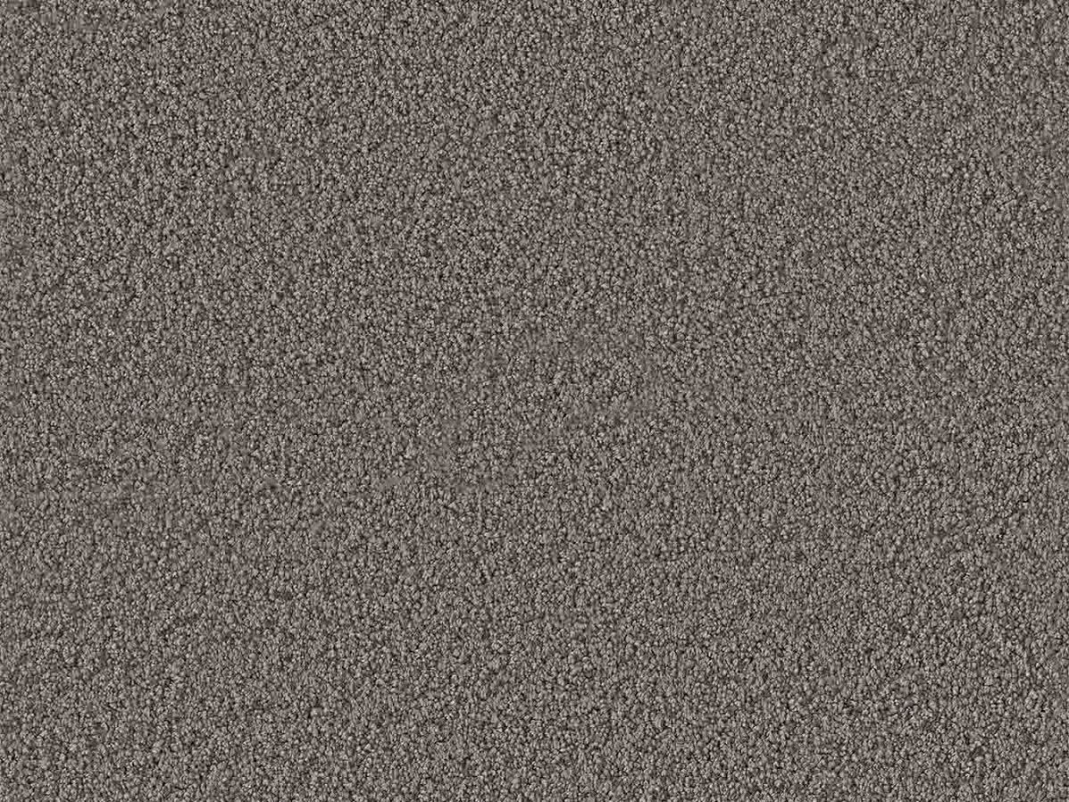 Tapijt Newton | Donkergrijs