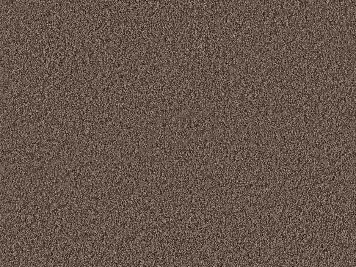 Tapijt Newton | Bruin