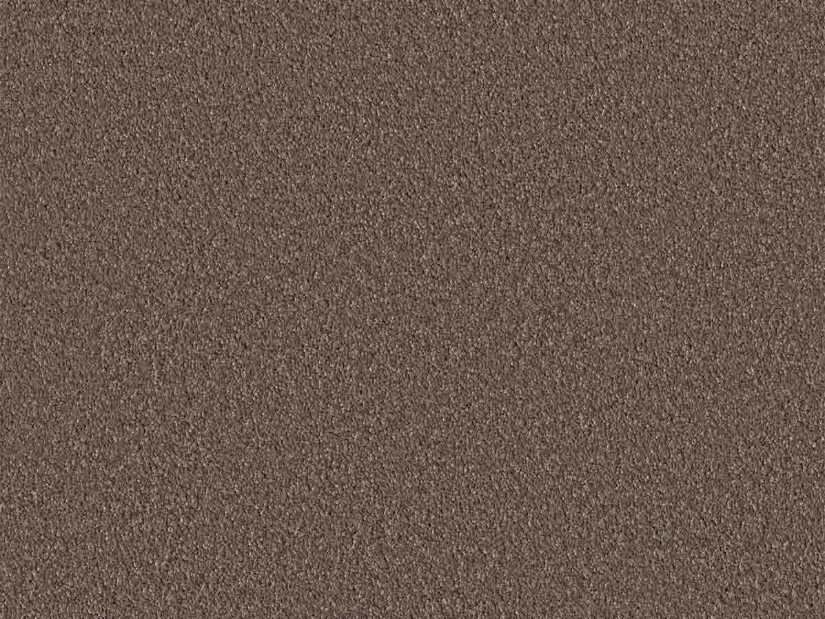 Tapijt Norwalk | Bruin