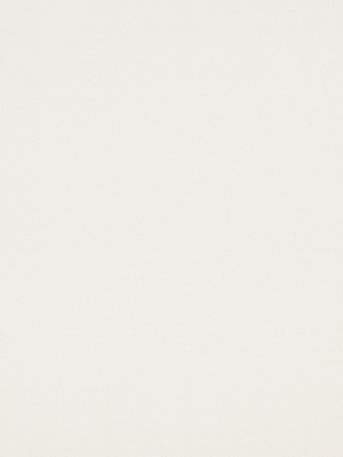 Vitrage Topcolor Voile | Champagne