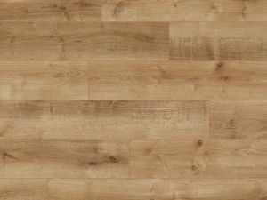 Cannes | Warm eiken