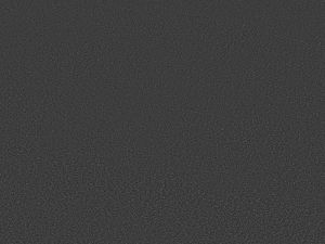 Tapijt Maple | Donkergrijs