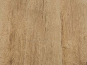 Warschau | Eiken