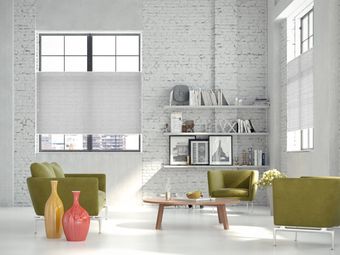 Dupligordijn bece | A52503