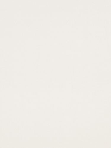 Vitrage Topcolor Voile | Champagne