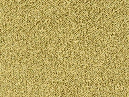 Tapijt Colour King | Pistache