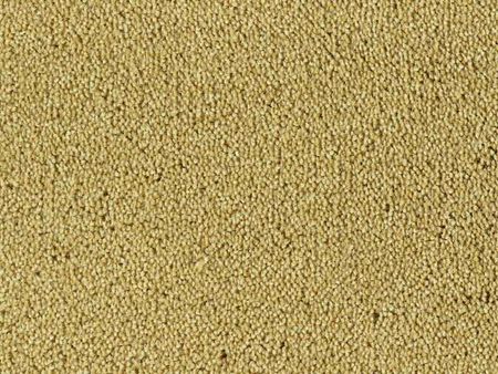Tapijt Colour King | Amber