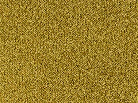 Tapijt Colour King | Mosterd